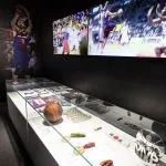 Camp nou experience