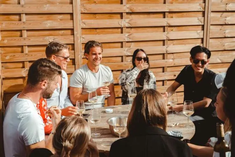 Friends enjoying wine party