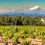 Wine tour penedes private