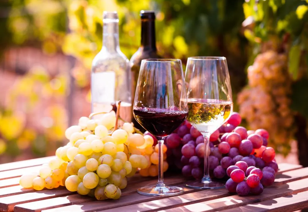 Wine tour penedes private